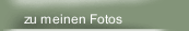 zu meinen Fotos
