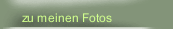 zu meinen Fotos